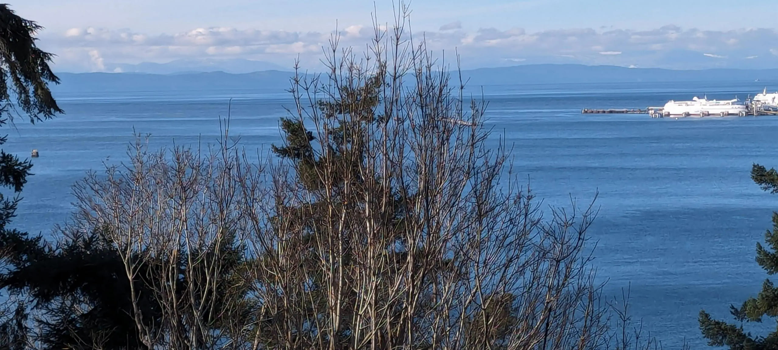 English Bluff Homes & Condos - MLS Listings For Sale